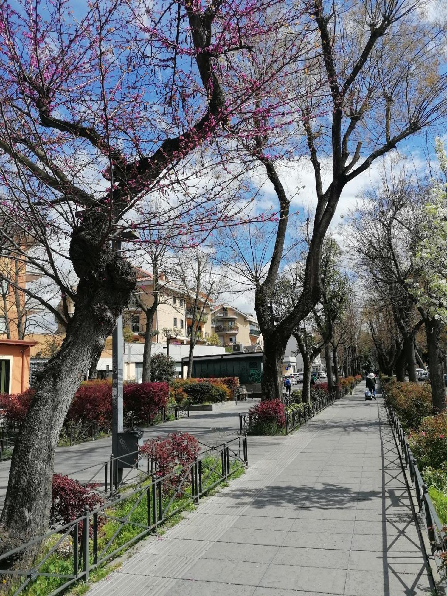 La Passeggiata Monterotondo (Lazio) Exterior foto
